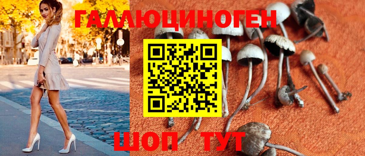 Галлюциногенные грибы Magic Shrooms Чехов